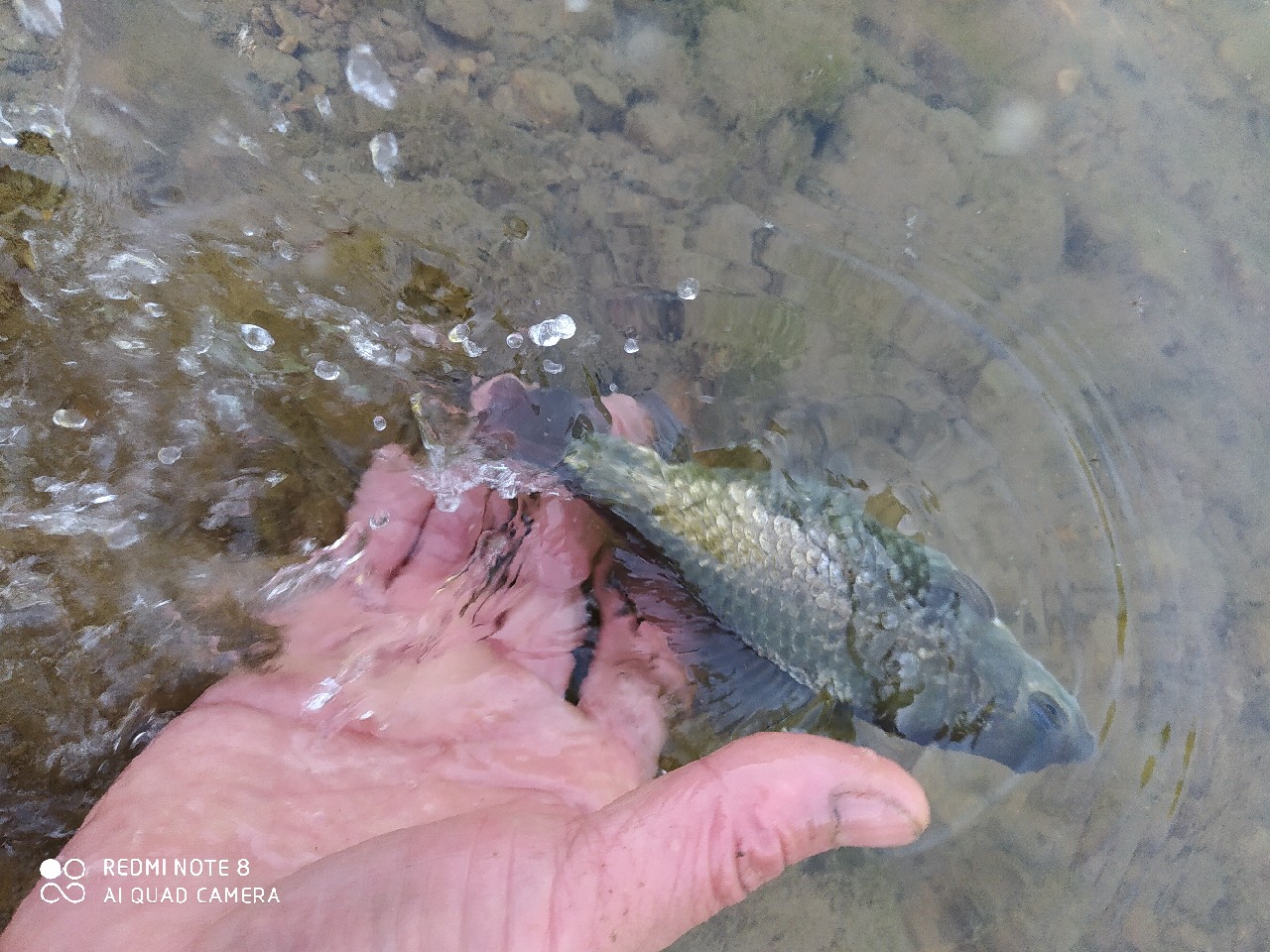 海竿串钩正确钓法视频,海竿串钩野钓最佳方法