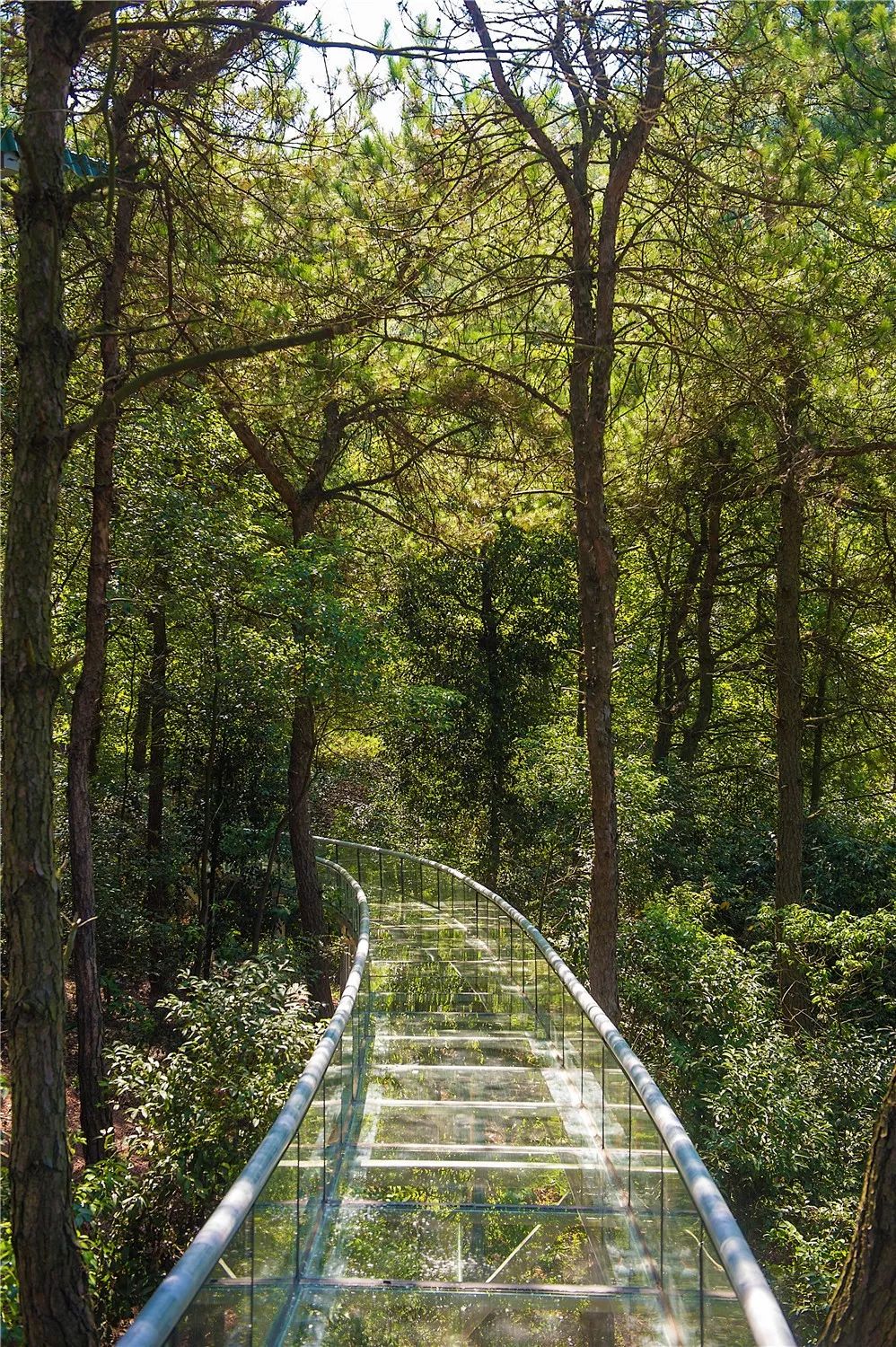 长沙周边踏春游玩最好去处,五一来长沙这些地方让你玩个够