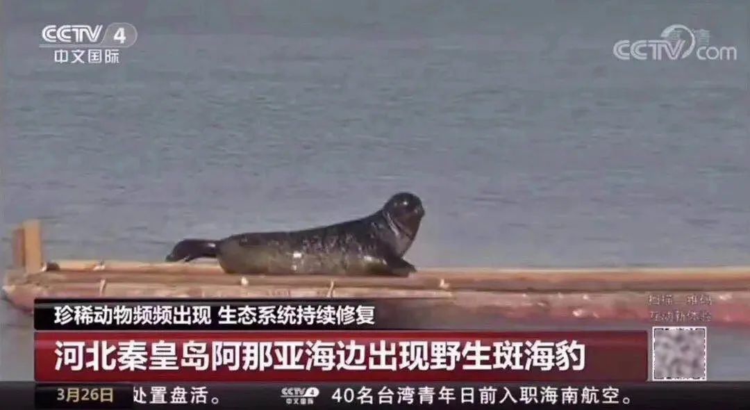 北戴河看海是免费的吗,北戴河五一看日落