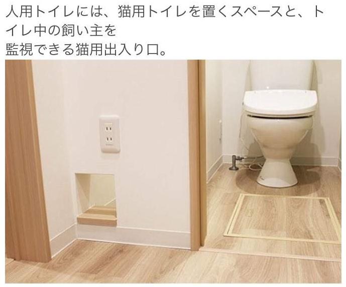 猫奴的春天!日本这家公司专门打造出「猫奴公寓」,每一处设计都超贴心