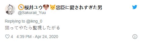 猫奴的春天!日本这家公司专门打造出「猫奴公寓」,每一处设计都超贴心