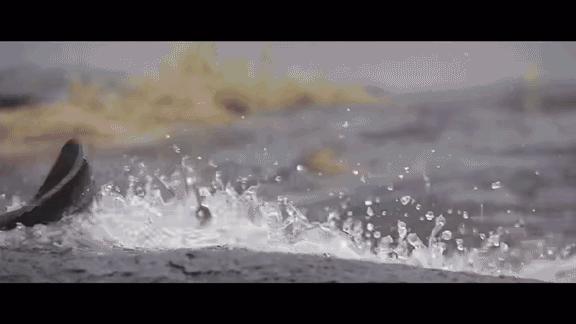 当贝超级盒子h1价格,当贝超级盒子h1