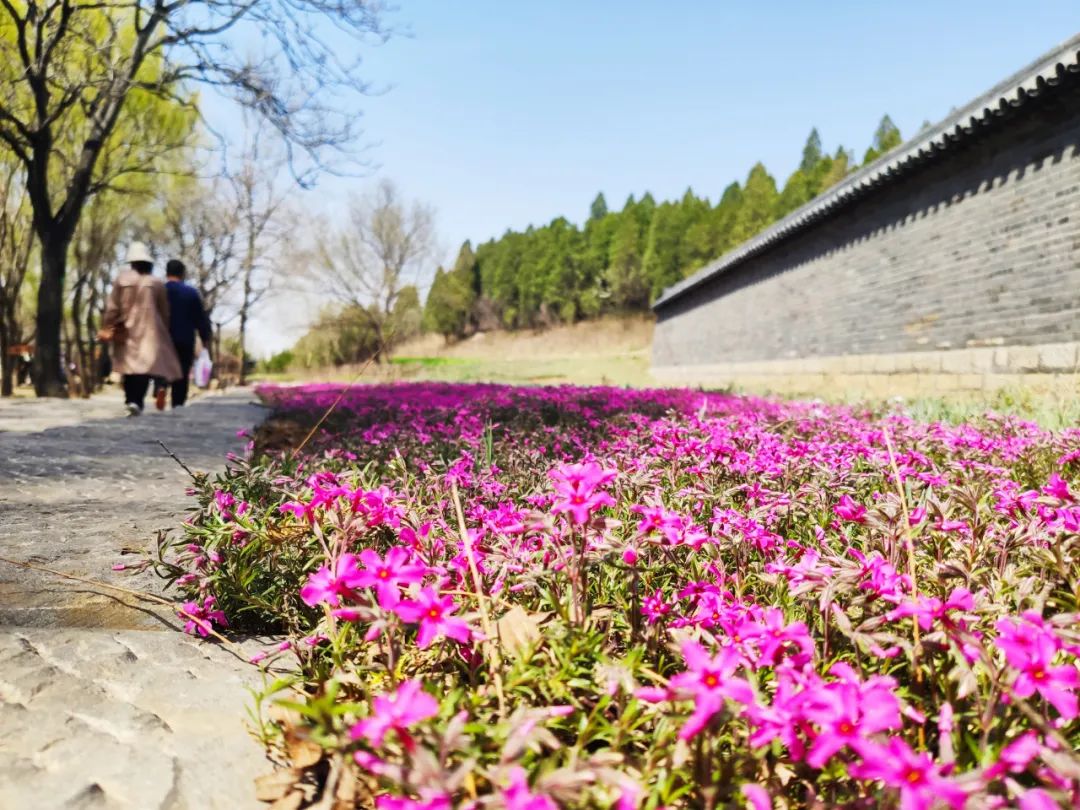 景区活动丨转发就免门票，这个父亲节，沂水旅游为您孝心买单！！！