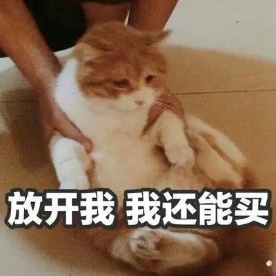 小鲁哥携手万小汇直播探店！小米手环、蒂佳婷面膜走到哪送到哪