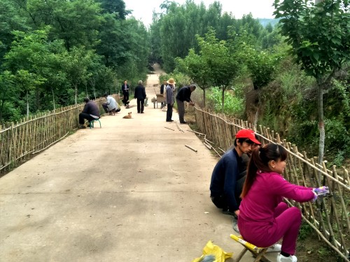 让村民直呼村庄像花园的印台阿庄，如何做好美丽乡村的“守”与“变”？