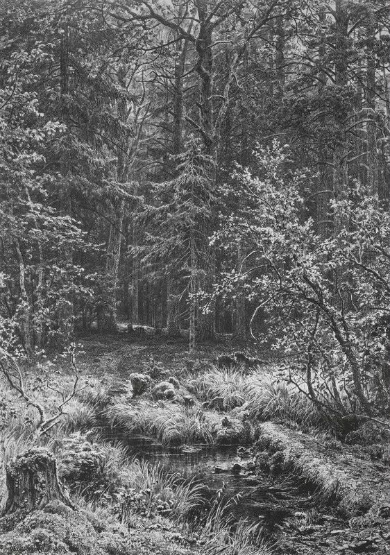 杰出人物素描画,超写实风景素描图片