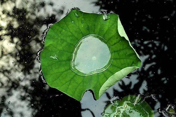 设计如何进行灵感的捕捉,设计灵感与作品