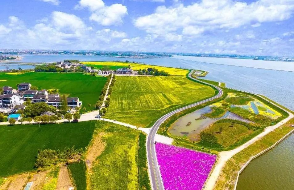 健身步道最新视频,健身走起跟着节奏嗨起来