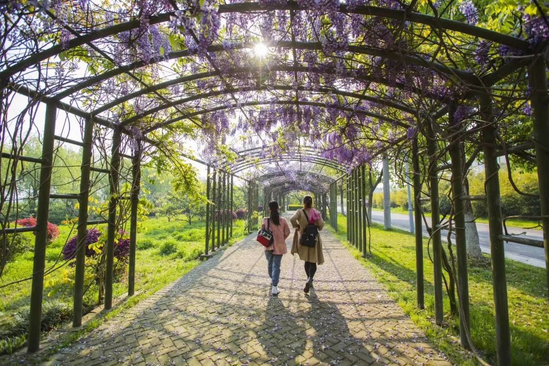 健身步道最新视频,健身走起跟着节奏嗨起来