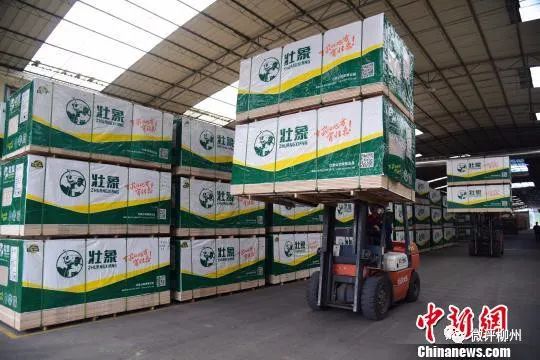 融安县贫困户脱贫,广西融安县沙子乡贫困农村