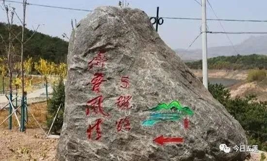 樱桃熟了五一好去处,采摘樱桃好去处五莲