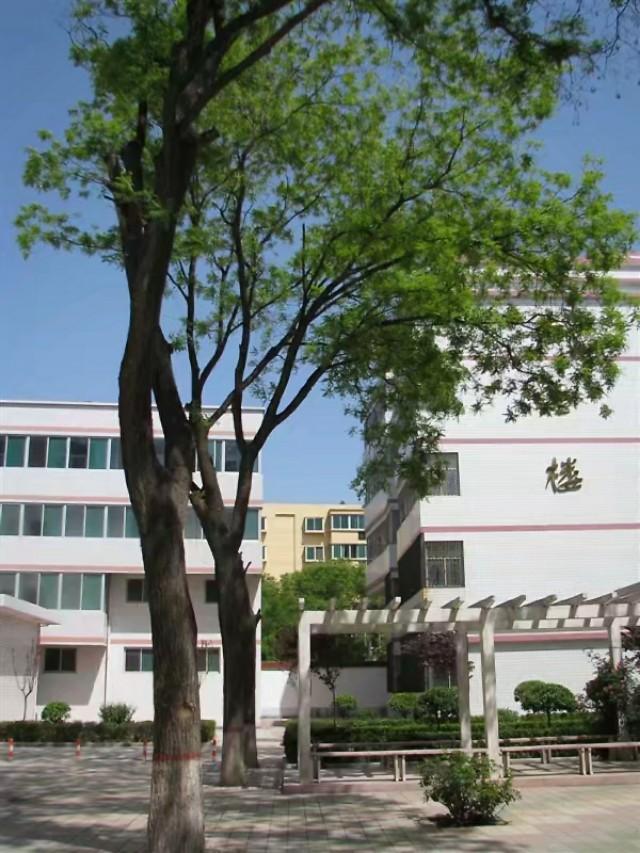 回忆我的母校三矿中学,三原南郊中学历史