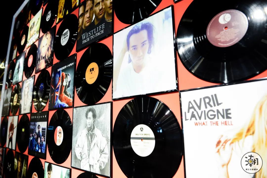 怎么处理八爪鱼,遇到八爪鱼怎么拔牙齿