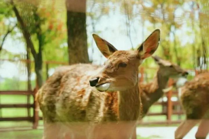 杭州最新打卡网红景点,杭州市区打卡网红景点