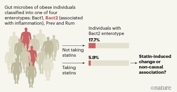 「Nature」肥胖与肠道菌群紊乱有关，他汀类药物有望治疗肠道菌群紊乱