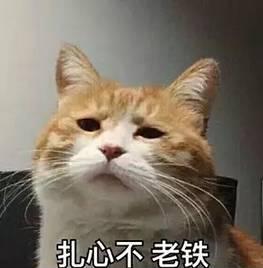 2022年柳州市人均工资多少,2023年度柳州市职工平均工资