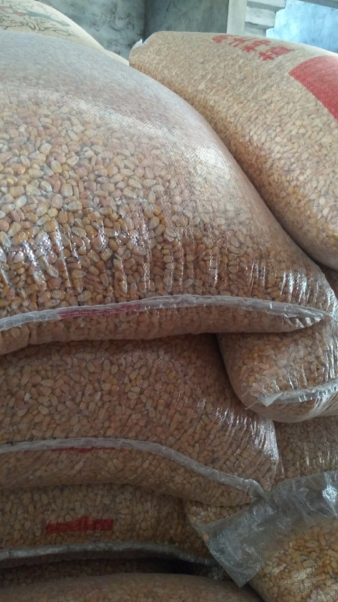 打窝怎么打才能聚鱼,哪种打窝方法最诱鱼