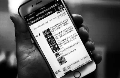 法视界,法视界法院