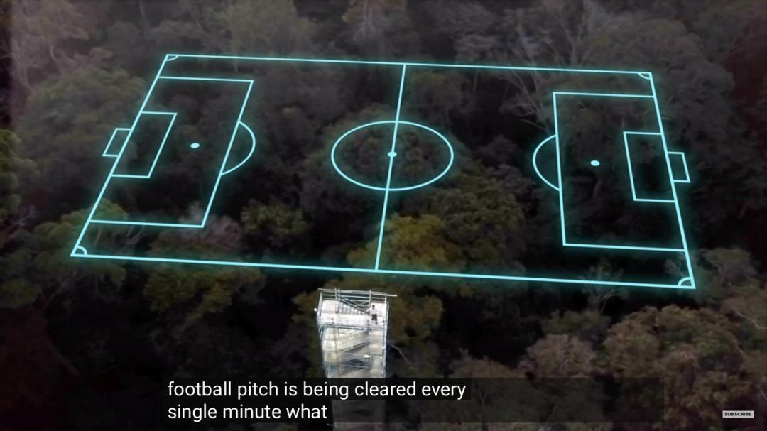 三个月砍掉20个曼哈顿,一年砍掉一个国家,亚马逊已经到了最危急的时候