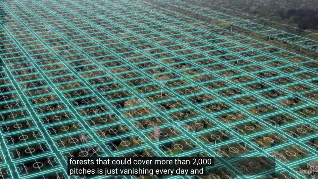 三个月砍掉20个曼哈顿,一年砍掉一个国家,亚马逊已经到了最危急的时候