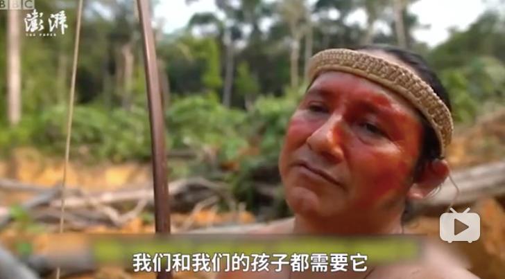 三个月砍掉20个曼哈顿,一年砍掉一个国家,亚马逊已经到了最危急的时候