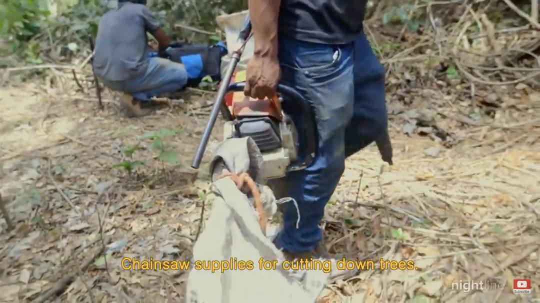 三个月砍掉20个曼哈顿,一年砍掉一个国家,亚马逊已经到了最危急的时候