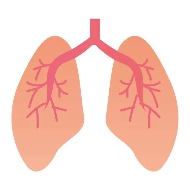 新生儿得了肺炎会有后遗症吗,新生儿肺炎严重有后遗症吗