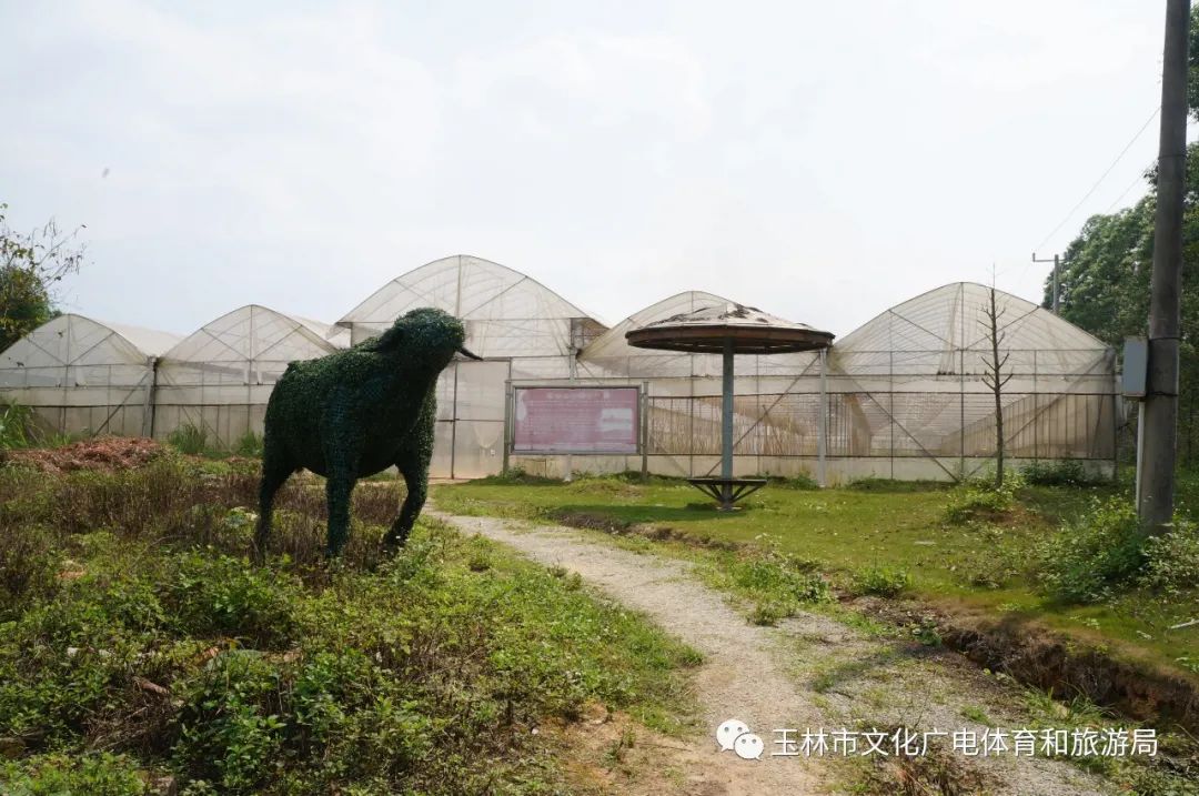 分享|“云游”林间小屋、石砌村道、稻田果树！乡村康养的好去处