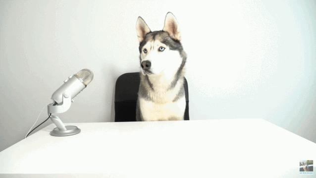 撕去“软色情”标签,ASMR能否成为“声音经济”新成员?