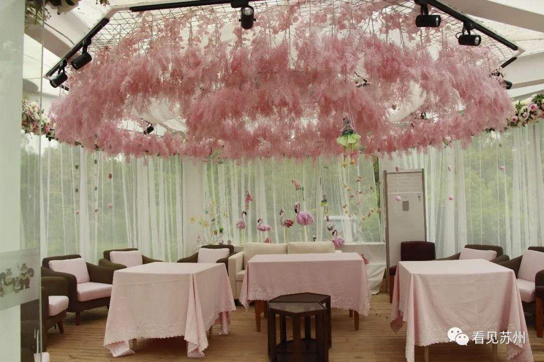 苏州森林里野奢树屋,苏州泡温泉度假的地方推荐