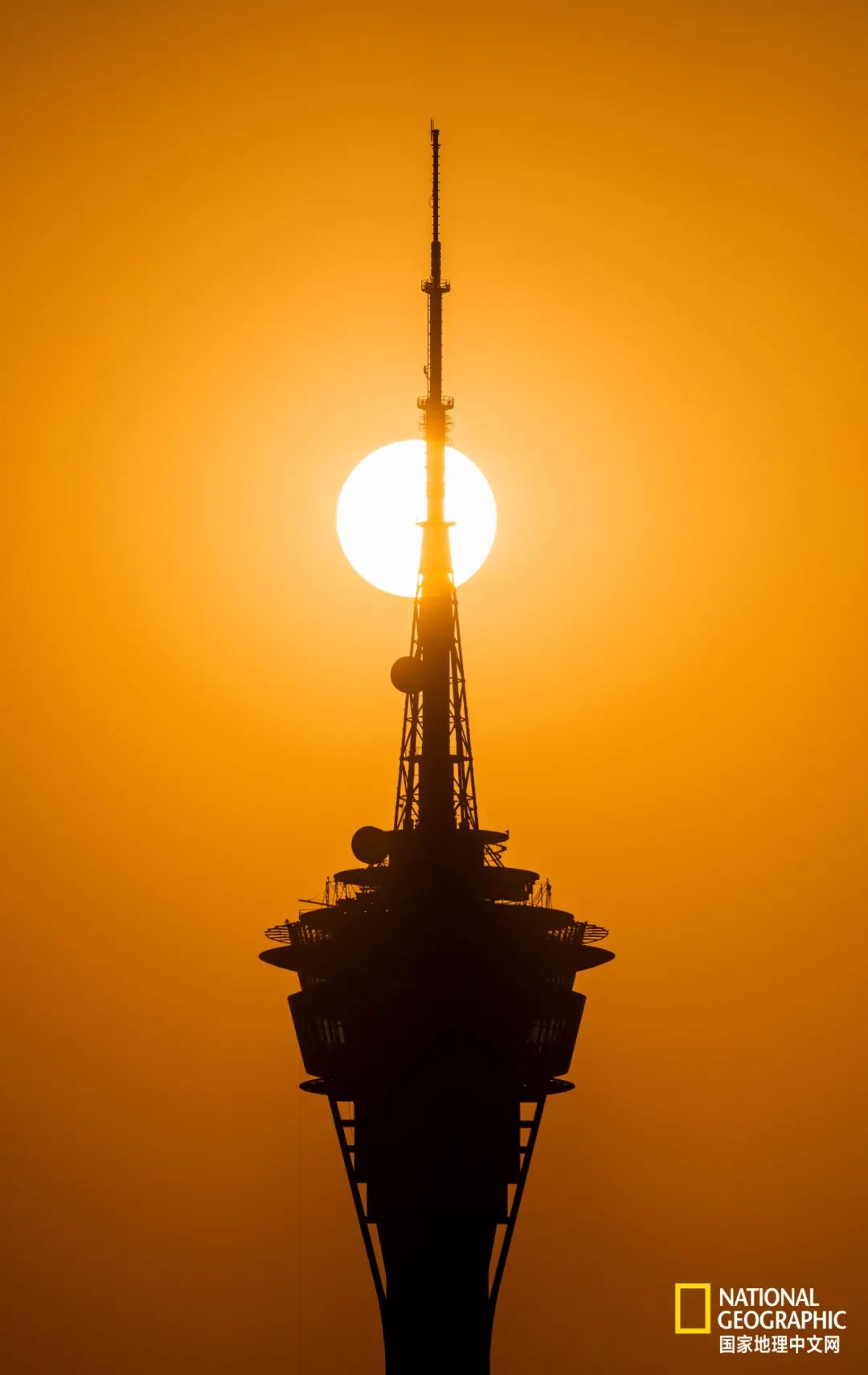 这种澳门太激荡了