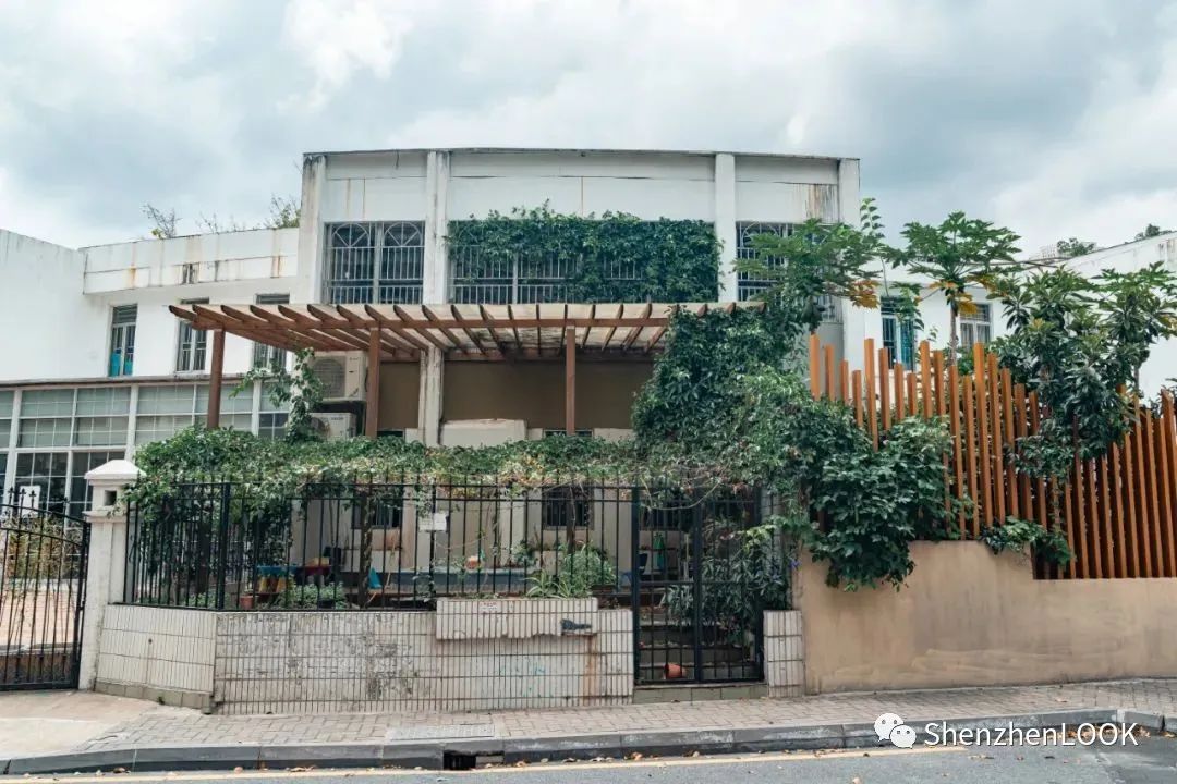 LOOK|这，就是园岭