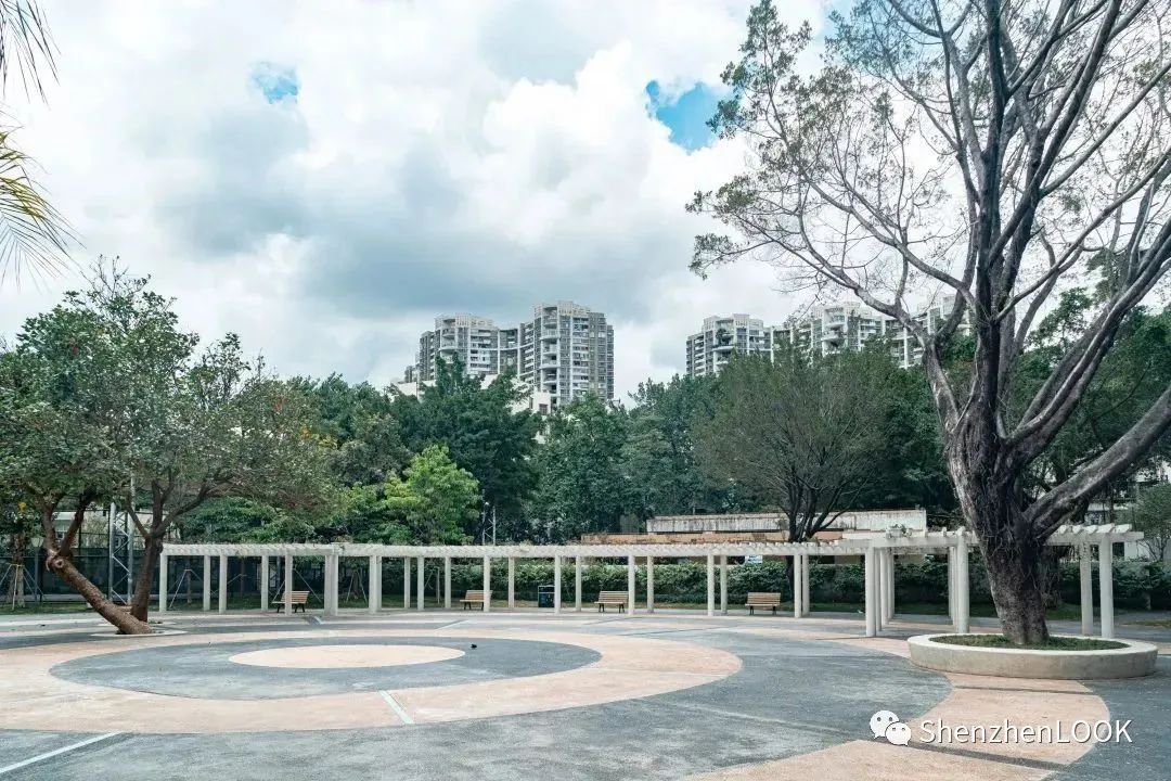 LOOK|这，就是园岭