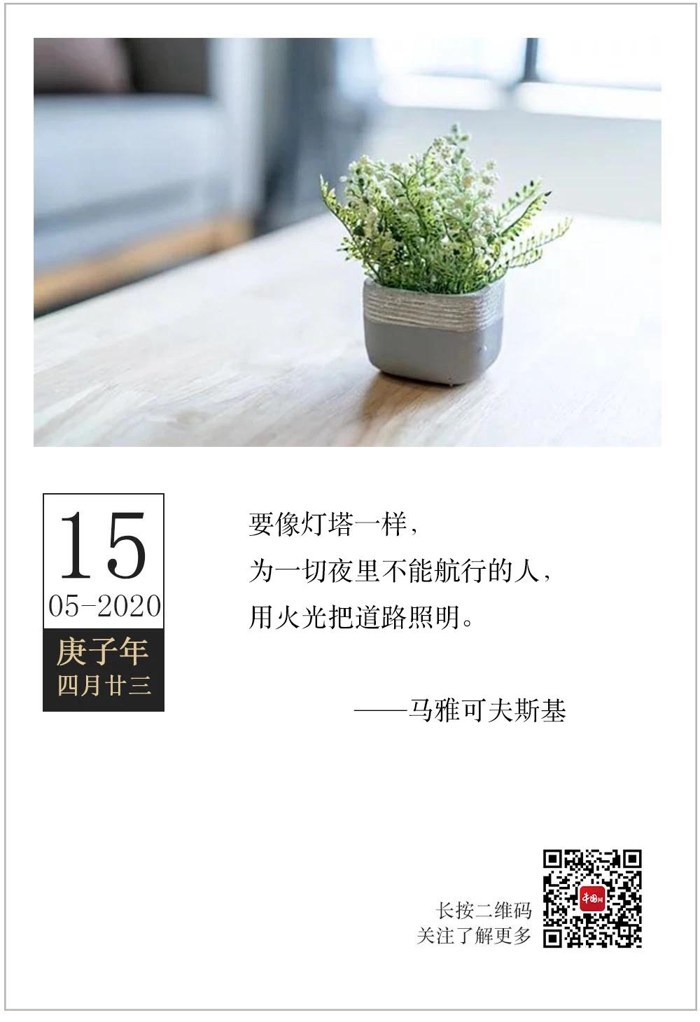 轻松早茶完整版视频,适合5.1去的广州早茶