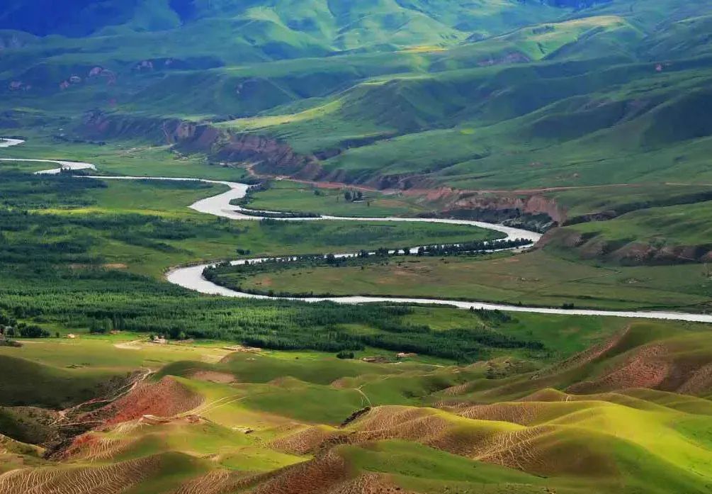 新疆伊犁大草原最美的季节来了,新疆伊犁的春天来了