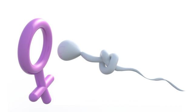 没有射精，却意外怀孕，这到底是为什么？