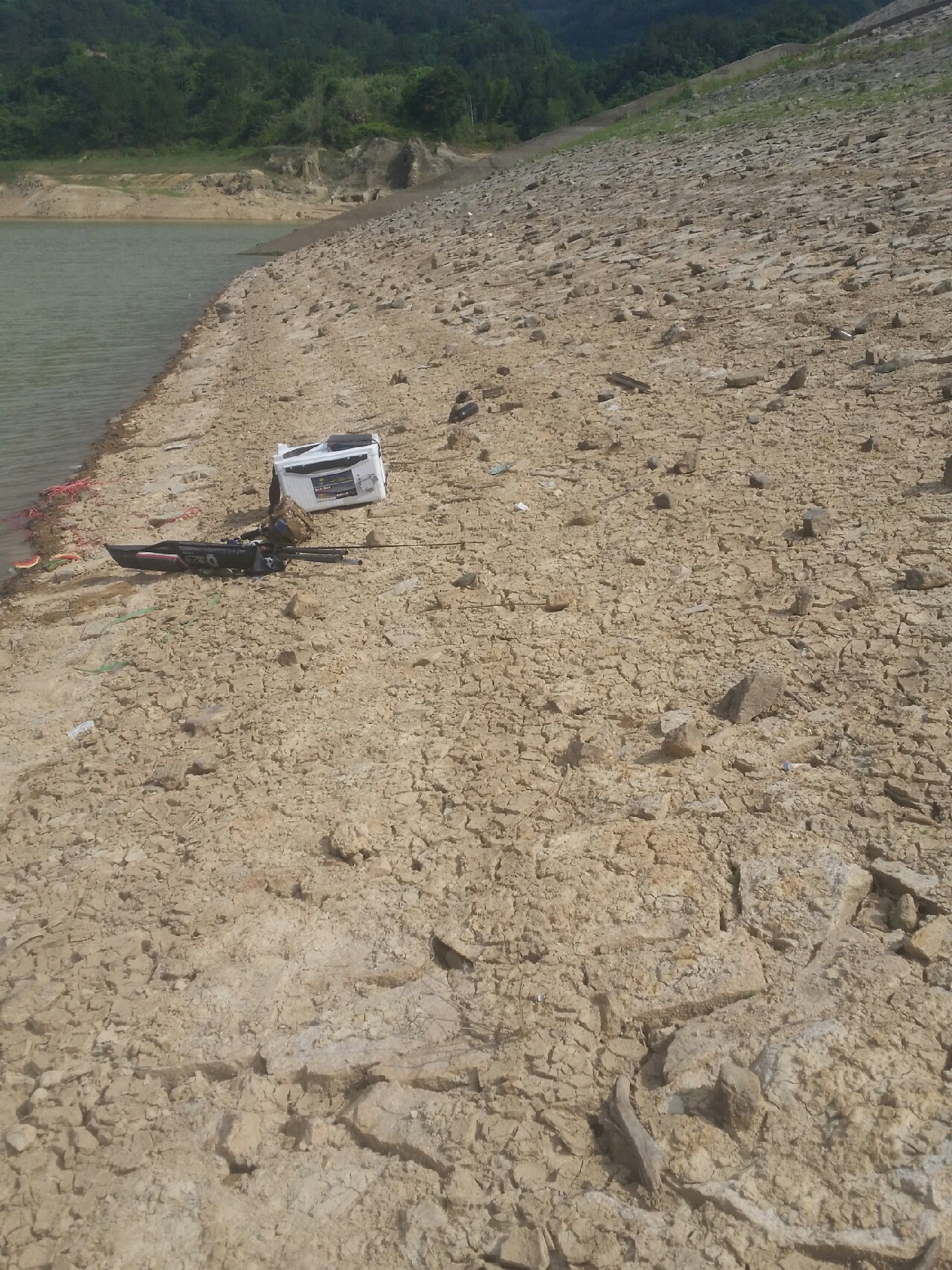 喜欢你！515狂拉不断！探钓永春红五一水库