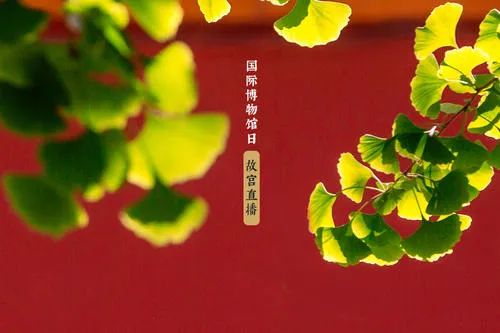 当潮不让国潮当道,当潮不让gai现场版