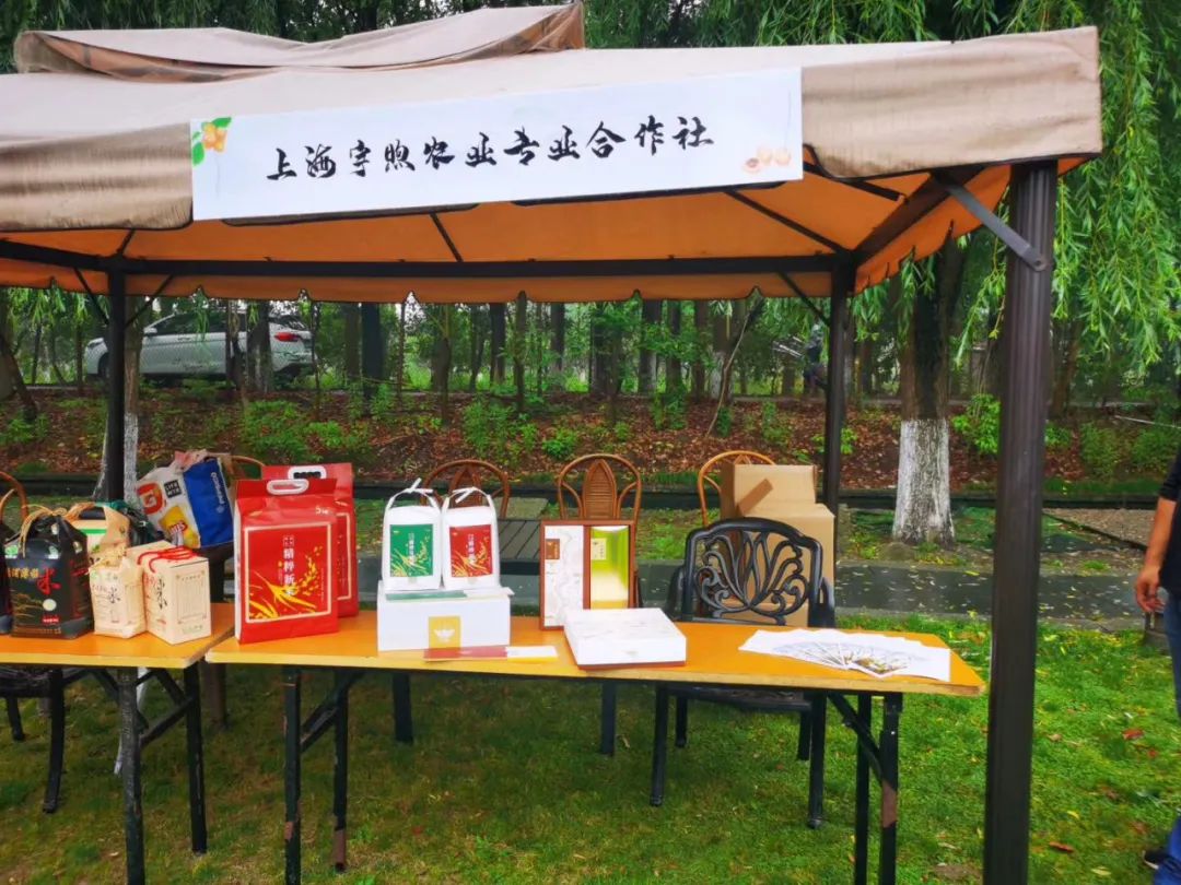 乡村振兴创新创业电商助农视频,乡村振兴互联网创新创业