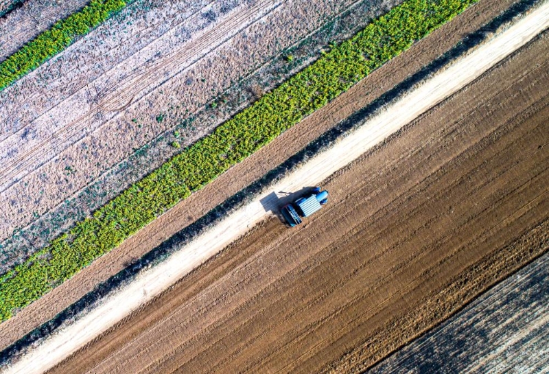 风雨无阻向前进抗疫之歌歌词,疫情防控阻击战取得重要成果