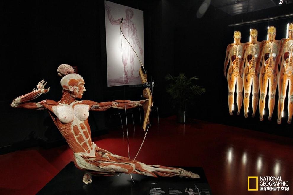 探秘超神奇的博物馆 (十大奇趣博物馆)