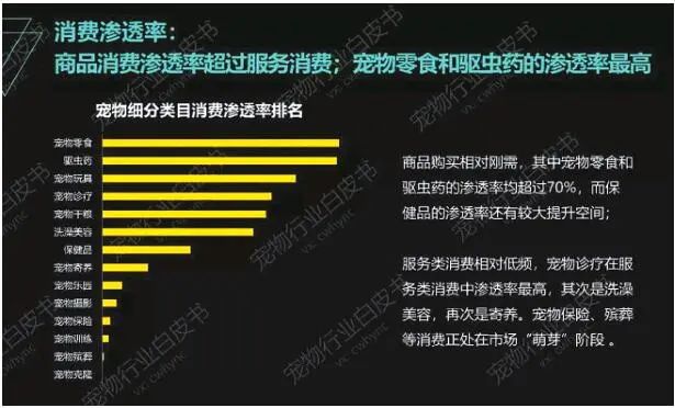 看看大庆人养宠物花了多少钱？吃穿、美容、买保险……