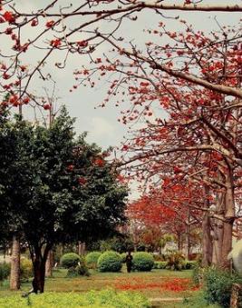 曹小军简介,曹小军公示