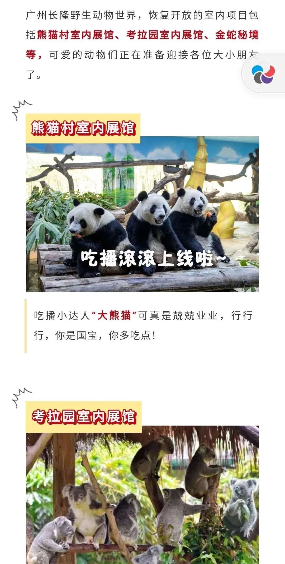 广州长隆野生动物世界何时建成,广州长隆野生动物园有白狮