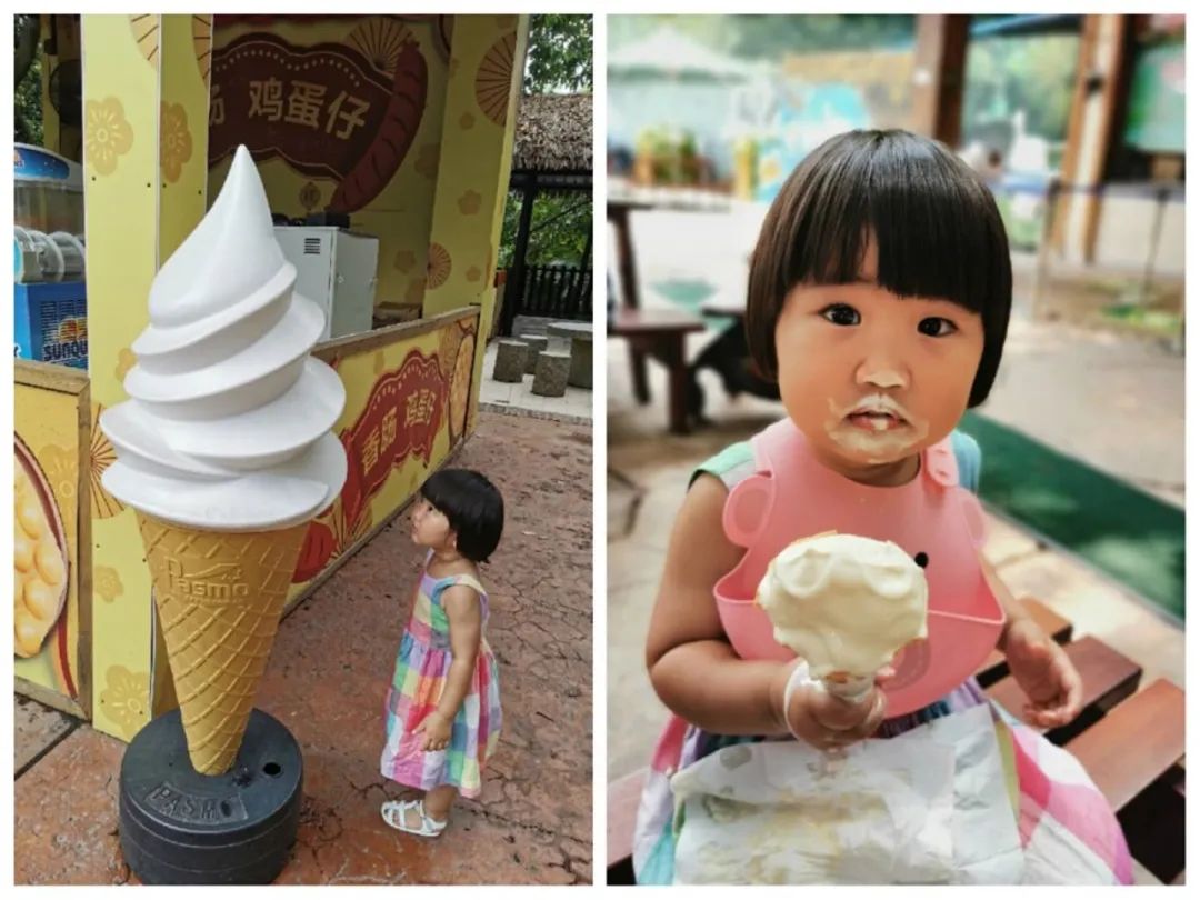 广州长隆野生动物世界何时建成,广州长隆野生动物园有白狮