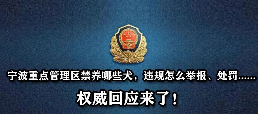 警惕八大类40种诈骗手法,新型诈骗手段大家小心千万别扫码