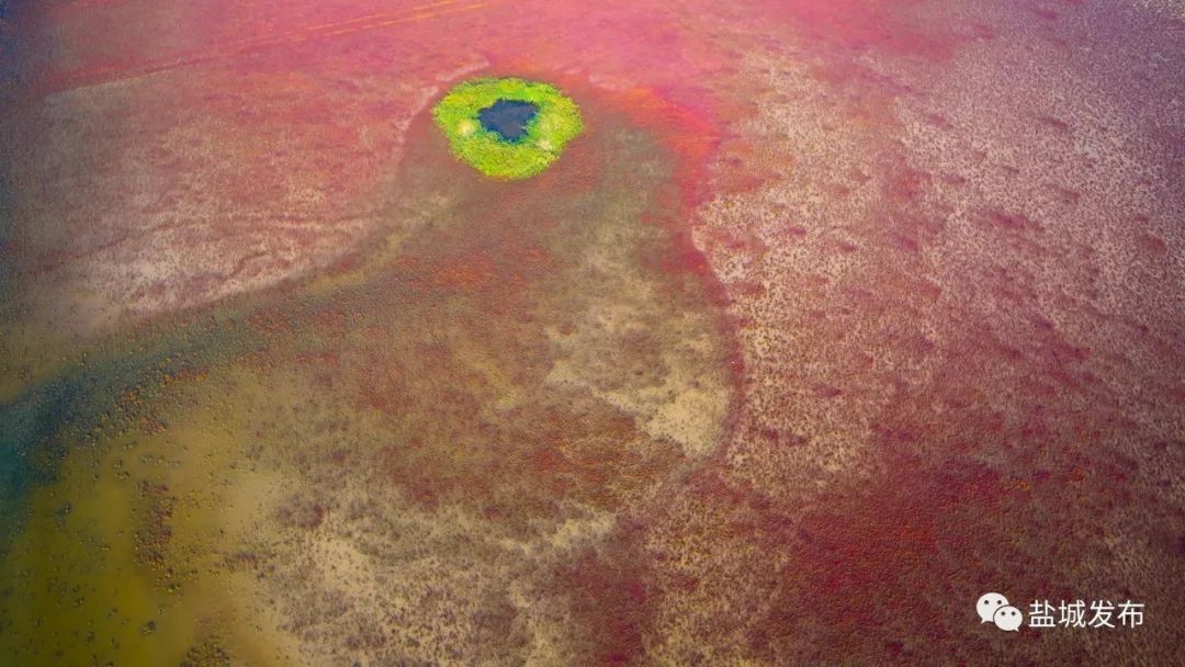 盐城最厉害的勺子,盐城铜勺子