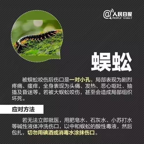十大毒虫咬人后的症状,十大毒虫咬人了怎么办