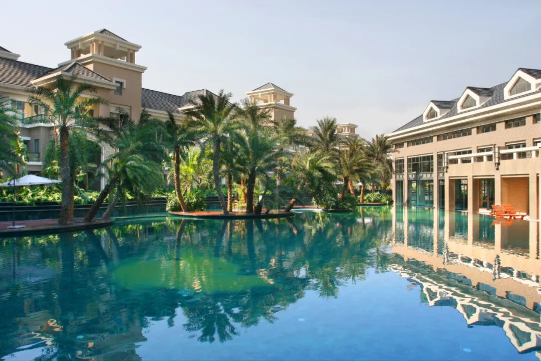 深圳，这只老虎终于要发威了