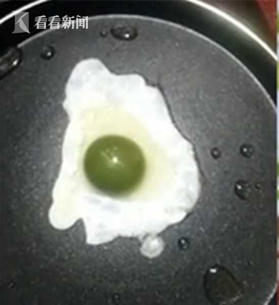 神奇小鸡出生了,神奇小鸡无壳孵化